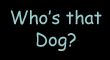 Who's that Dog?