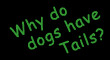 Why Do Dogs Have Tails?