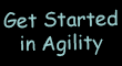 Get Started in Agility