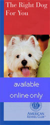 The Right Dog for You