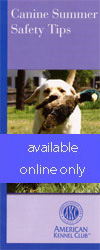 Canine Summer Safety Tips