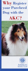 Why Register Your Purebred Dog with the AKC®?
