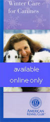 Winter Care for Canines
